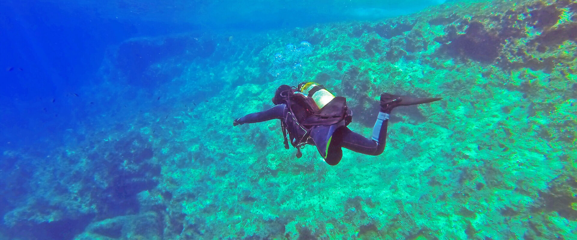Scuba Diving in Puerto Madryn